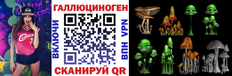 Псилоцибиновые грибы Psilocybe  мега ONION  Удачный  купить наркотик 